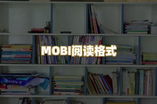 MOBI阅读格式