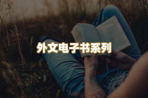 外文电子书系列